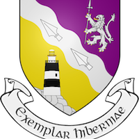 Team Page: Wexford